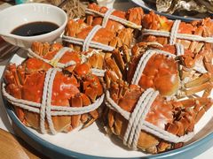 -杨氏青龙虾·羊蝎子(托乐嘉店)