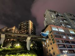 -李子坝梁山鸡(李子坝大鸡哥店)