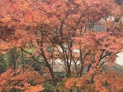 -宋宴(虎跑店)