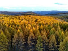 -塞罕坝国家级自然保护区