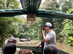 -热带雨林自然公园