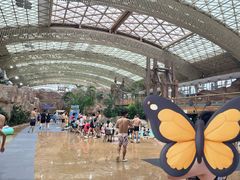 -杭州开元森泊度假乐园