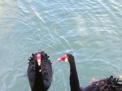 -泰安地下龙宫景区