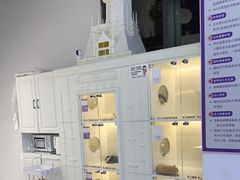 -小猫来了·猫舍(红山六九七九店)