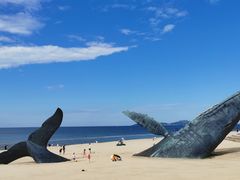 -烟台金沙滩海滨公园