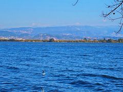 -西昌邛海湿地