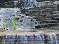 -海淀公园