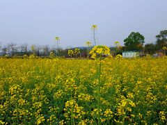 景点-盈香心动乐园