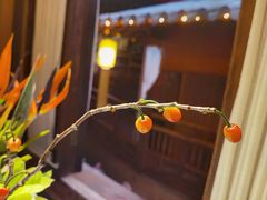 -叶叶菩提·晋福宫