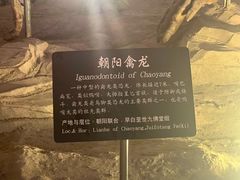 -辽宁古生物博物馆