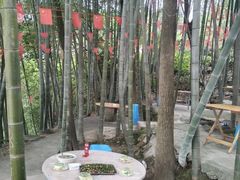 -金水泊山庄·花椒鸡(铁山坪店)