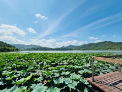 -东钱湖旅游度假区