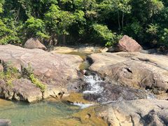 -广州白江湖森林公园