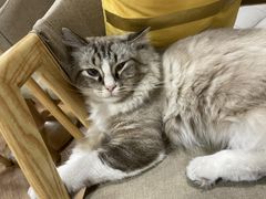 -白兔子密室(长寿路店)