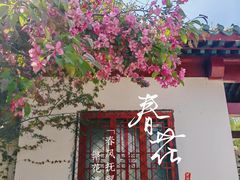 -北陵公园