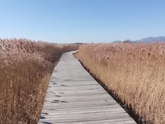 -野鸭湖国家湿地公园
