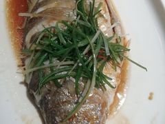 -吕氏疙瘩汤·新鲁菜(济南万象城店)