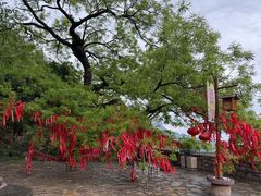 -云丘山景区