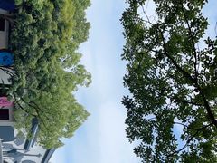 -杭州少年儿童公园