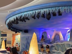 -帝企鹅自助餐厅•儿童岛•真企鹅(长隆企鹅酒店)