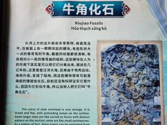 -牛角寨瀑布群景区