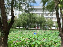 -南京信息职业技术学院