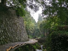 -莫干山风景区