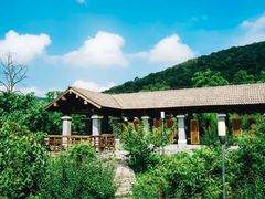 -老山国家森林公园