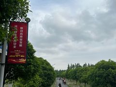 -上海长兴岛郊野公园