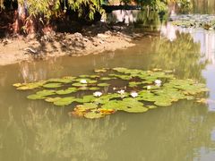 -白塘生态植物园