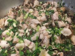 -百岁鱼(七一路店)