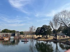 -上海滨江森林公园