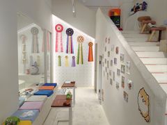 -爱宠屋pet shop·宠物洗澡·宠物美容