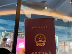 -海合安武汉极地海洋公园
