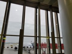 -谢列梅捷沃国际机场