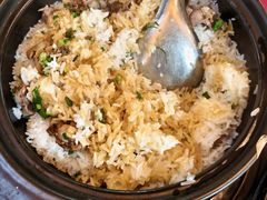 -麻奢鸽农庄·梦里水乡