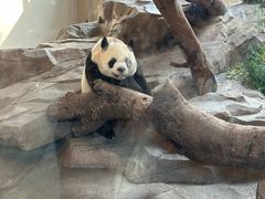 -宁波野生动物园