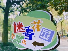 -黄兴公园