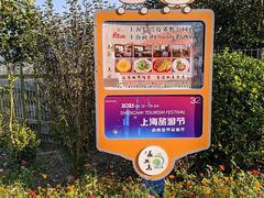 -前小桔亲子创意农场·草莓采摘·露营烧烤