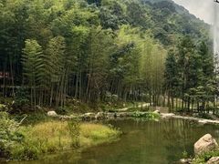 -广州白江湖森林公园