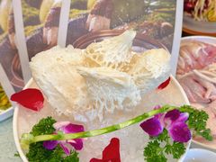 -烹然四季椰子鸡火锅(团结湖总店)