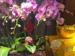 -江南足纪·影院足道·轻奢SPA(笋岗HALO广场店)