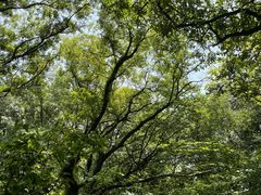 -穹窿山景区