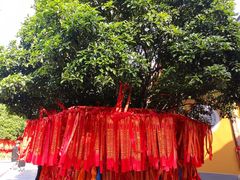 -龙华寺