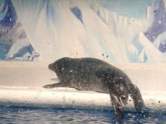 -成都浩海立方海洋公园