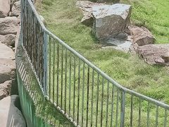 -无锡动物园·太湖欢乐园