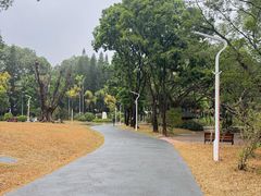 -人民公园(罗湖区)