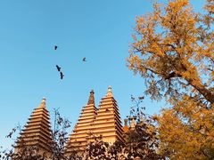 -北京石刻艺术博物馆(五塔寺)
