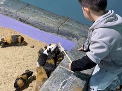 -顺德南宏海立方海洋公园