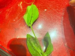 -山城辣妹子(定福庄店)